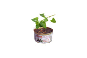 SCATOLETTA MOUSSE PER GATTO ADULTO 85 GR POLLO&amp;ERBA GATTA