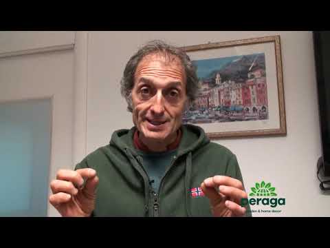 Carica video: 