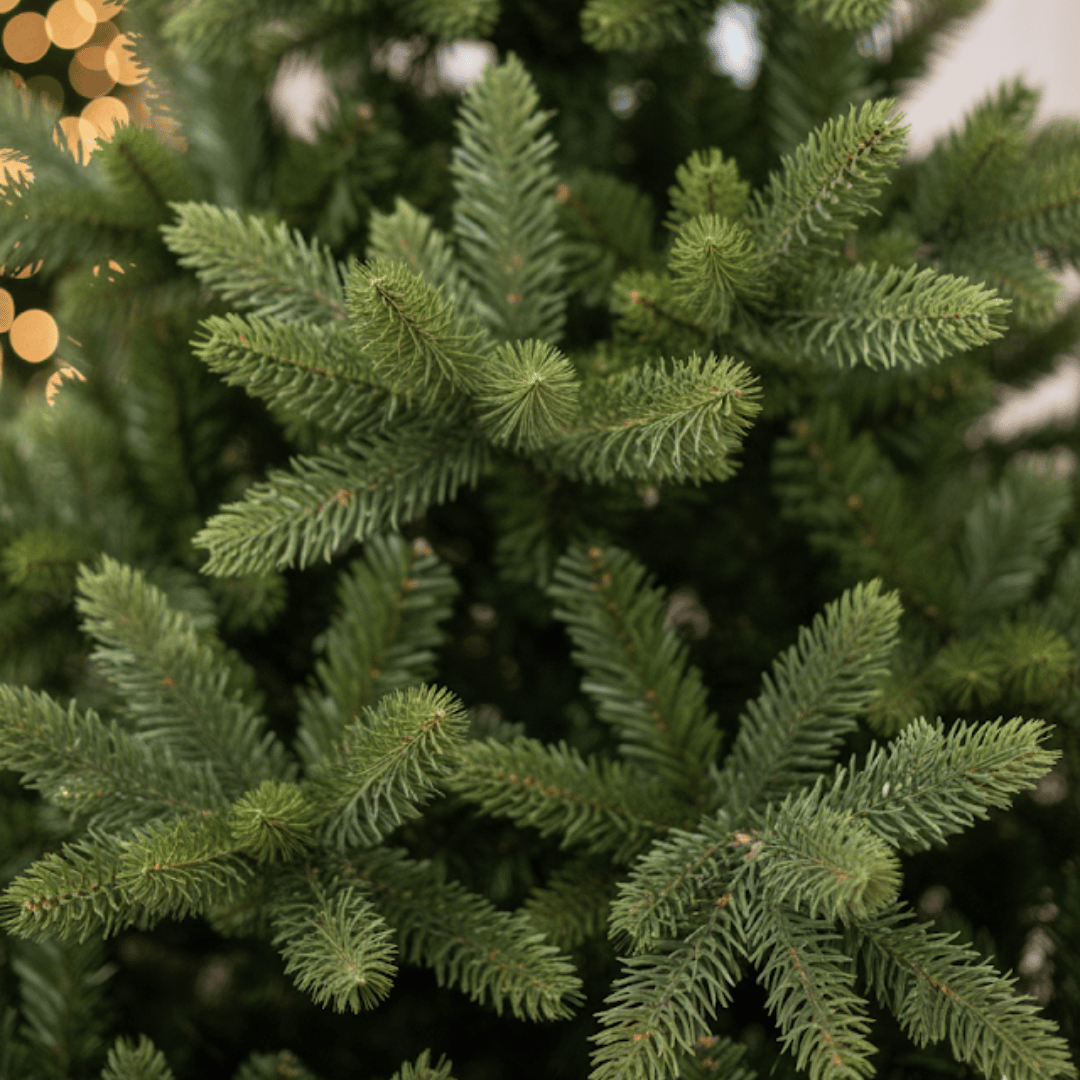 Albero di natale Abete Como 240 cm verde