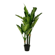 PIANTA DIEFFENBACHIA H150 ARTIFICIALE