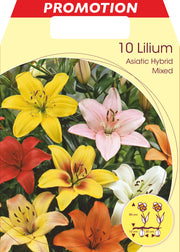 LILIUM ASIATIC MIX (CONFEZIONE DA 10 BULBI)