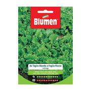 SEMI LATTUGA TAGLIO BIONDA RICCIA BLUMEN