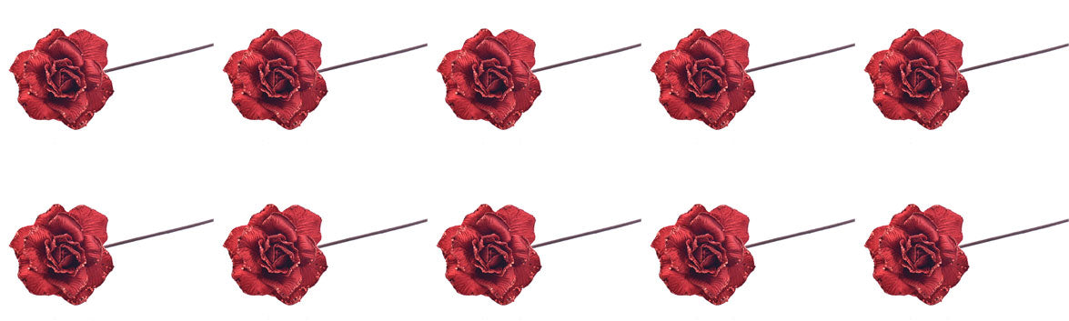 OFFERTA 10 ROSE CON GAMBO LUNGO ROSSE 70CM