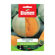 SEMI MELONE LISCIO CANTALUPO BLUMEN