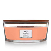 CANDELA ELLIPSE MANUKA NECTAR