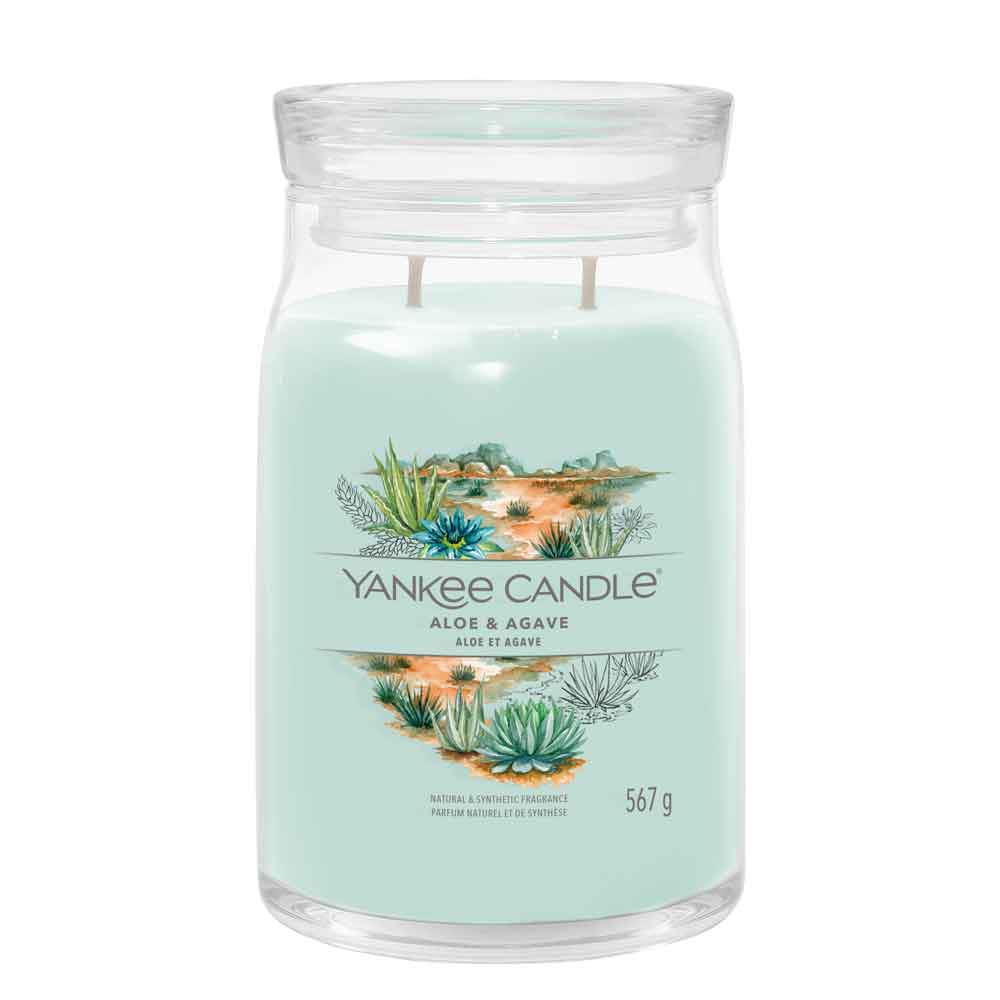 CANDELA GIARA GRANDE SIGNATURE ALOE & AGAVE