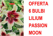OFFERTA 6 BULBI LILIUM ORIENTAL PASSION MOON