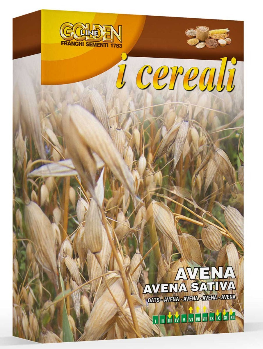 SCATOLA DA 100GR CON SEMI DI AVENA