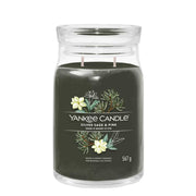 CANDELA GIARA GRANDE SILVER SAGE & PINE