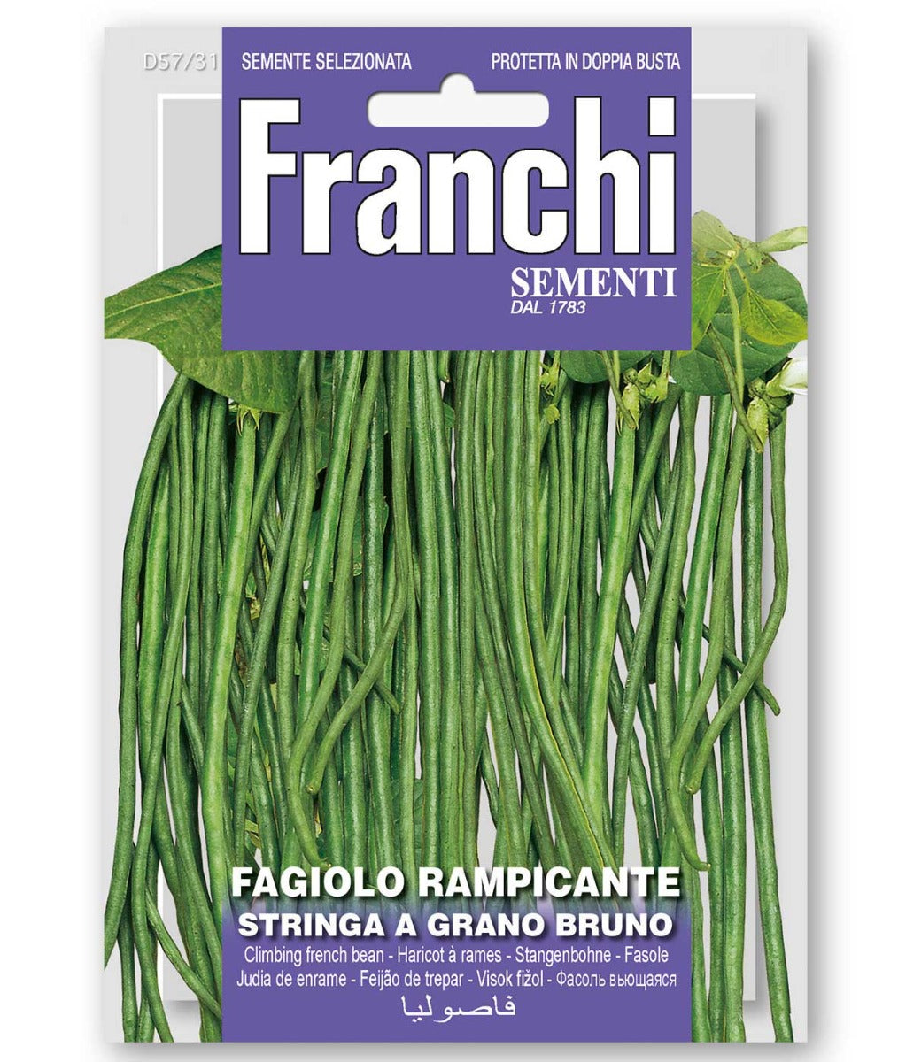 SEMI FAGIOLO RAMPICANTE STRNGA A GRANO BRUNO
