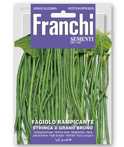 SEMI FAGIOLO RAMPICANTE STRNGA A GRANO BRUNO