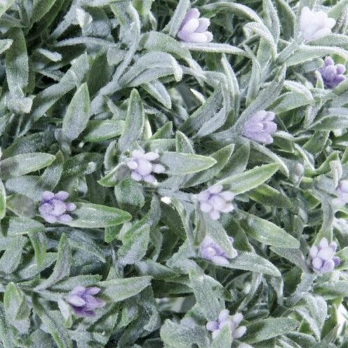 SIEPE ARTIFICIALE SEMPREVERDE PROVENCE BALL 40 CM