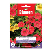 SEMI PETUNIA HYBRIDA PENDULA MIX BLUMEN