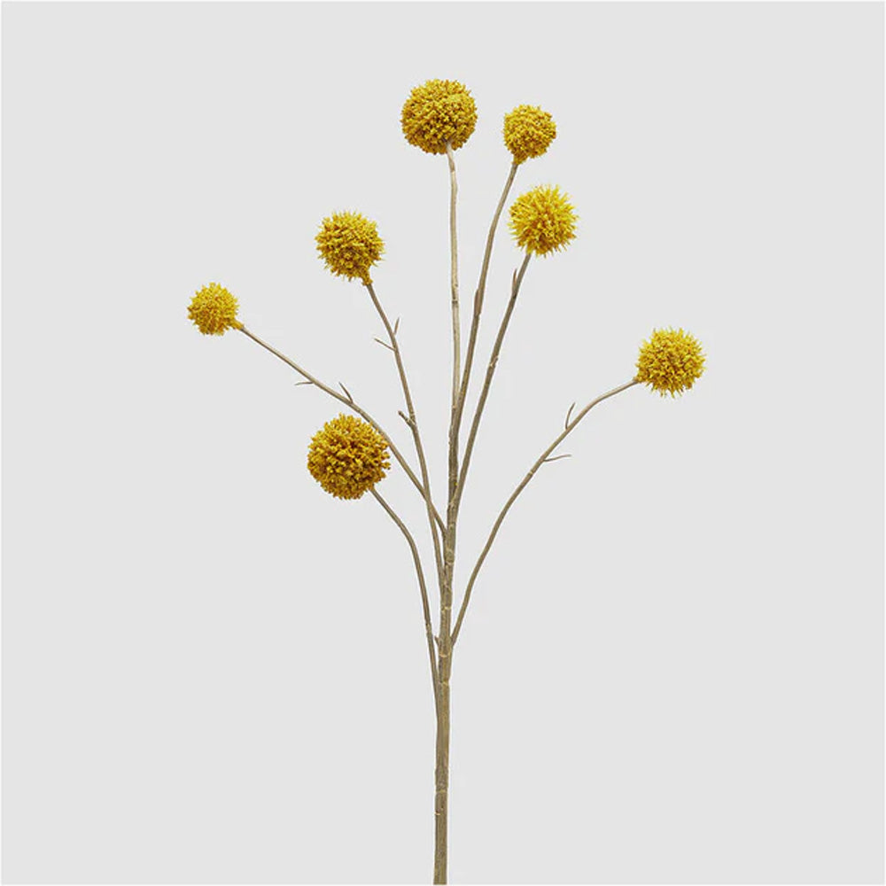 RAMO DI CRASPEDIA ARTIFICIALE H65CM GIALLO