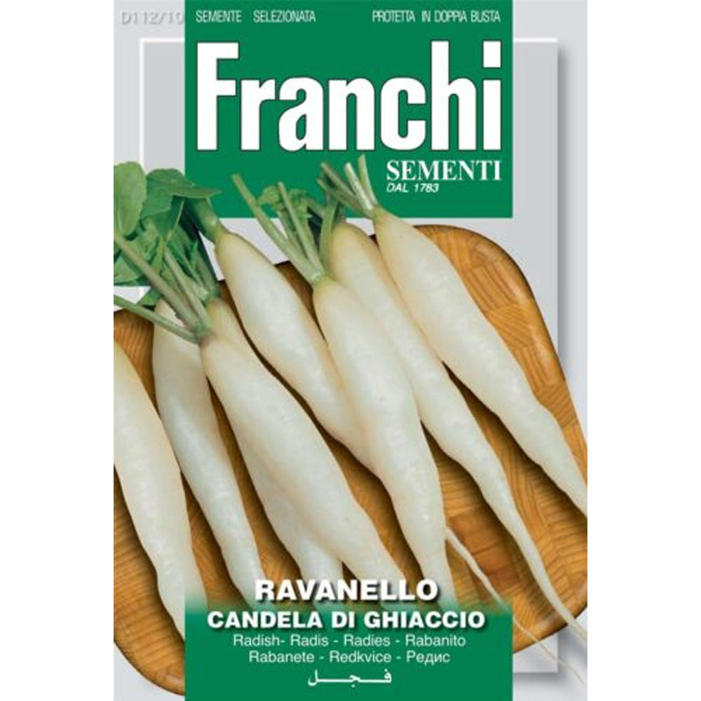 SEMI DI RAVANELLO CANDELA DI GHIACCIO