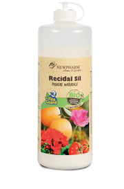 POLVERE SECCA INERTE RECIDAL SIL 200GR