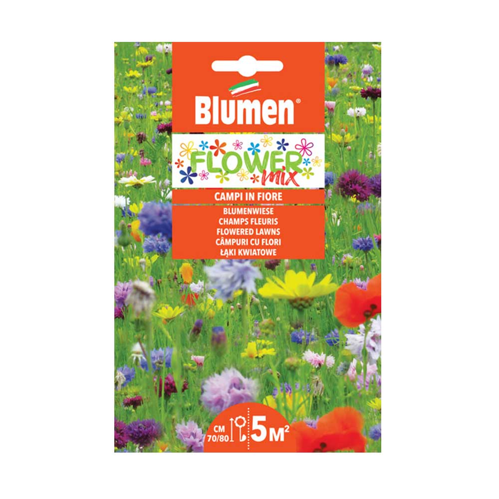 SEMI MISCUGLIO DI FIORI CAMPI IN FIORE BLUMEN