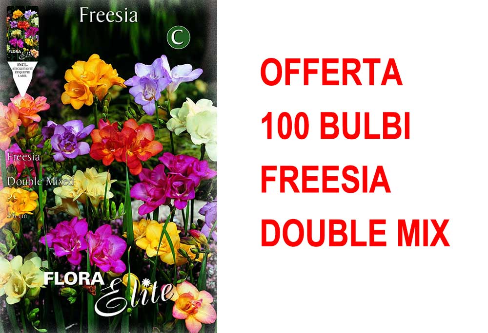 OFFERTA 100 BULBI FREESIA DOUBLE MIX