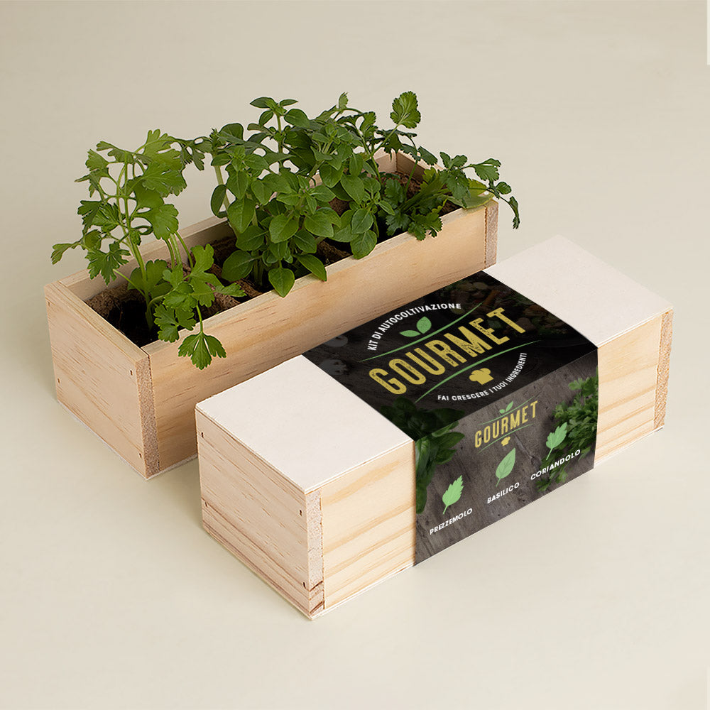KIT DI AUTOCOLTIVAZIONI GOURMET (PREZZEMOLO, BASILICO E CORIANDOLO)