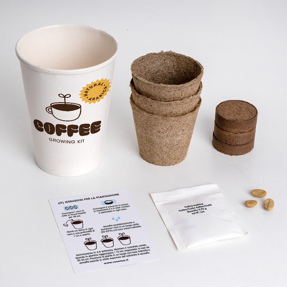 KIT DI COLTIVAZIONE DEL CAFFÈ
