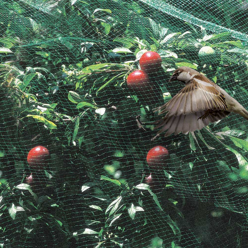 RETE ANTIUCCELLI ORTOFLEX VERDE 4X10M