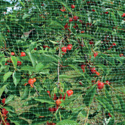 RETE ANTIUCCELLI ORTOFLEX VERDE 5X8M PER IL GIARDINO