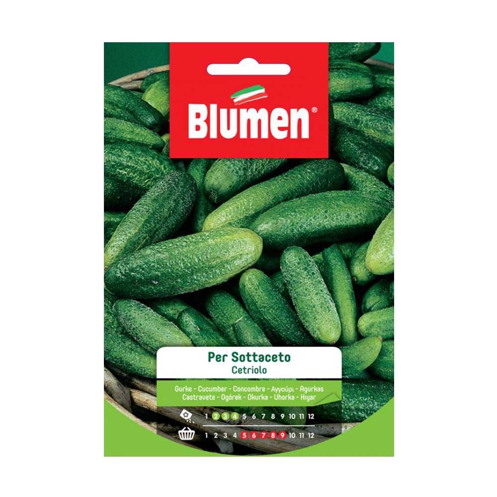 SEMI CETRIOLO SOTTACETO BLUMEN