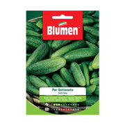 SEMI CETRIOLO SOTTACETO BLUMEN