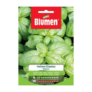 SEMI BASILICO ITALIANO CLASSICO GENOVESE BLUMEN