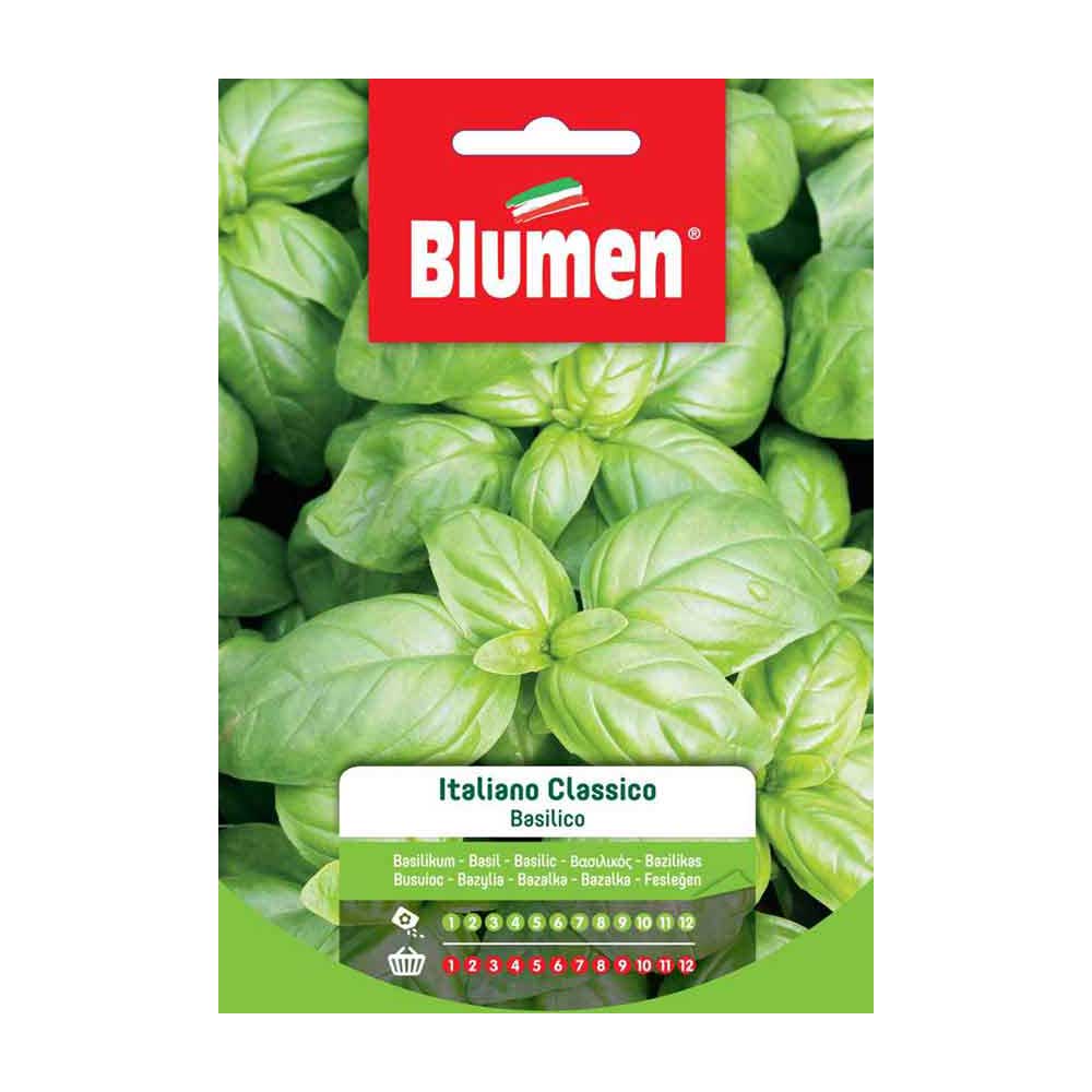 SEMI BASILICO ITALIANO CLASSICO GENOVESE BLUMEN