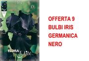 OFFERTA 9 BULBI IRIS GERMANICA NERO