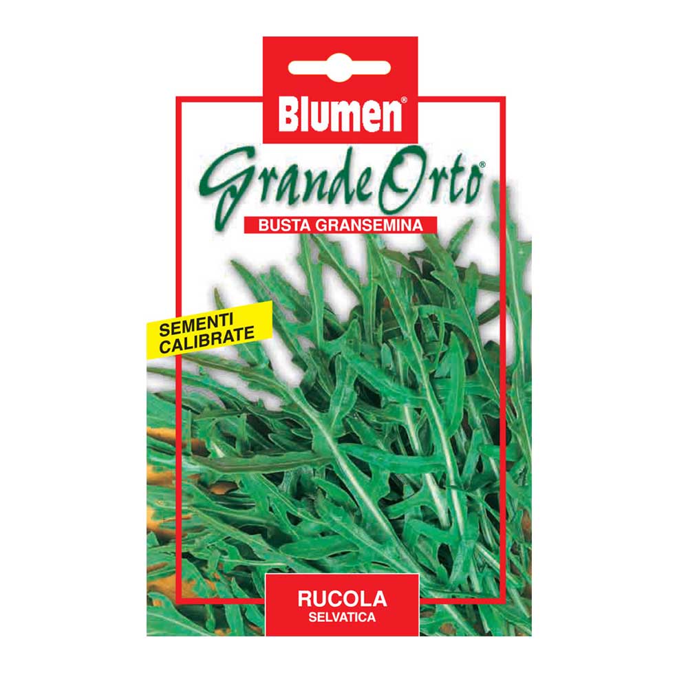 SEMI RUCOLA SELVATICA MAXI ORTO BLUMEN