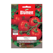 SEMI POMODORO HOBBY F1 BLUMEN