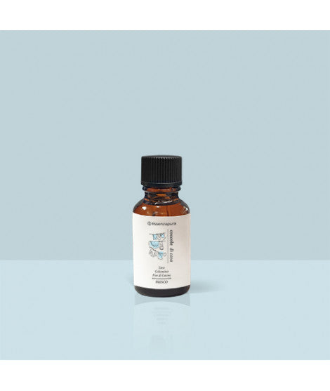 Coccole di casa - Ricarica di profumo 27ml Essenzapura