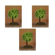 OFFERTA 3 ALBERI LICHENE 7CM