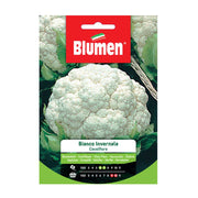 SEMI CAVOLFIORE BIANCO INVERNALE BLUMEN