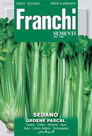 SEMI SEDANO VERDE PASCAL