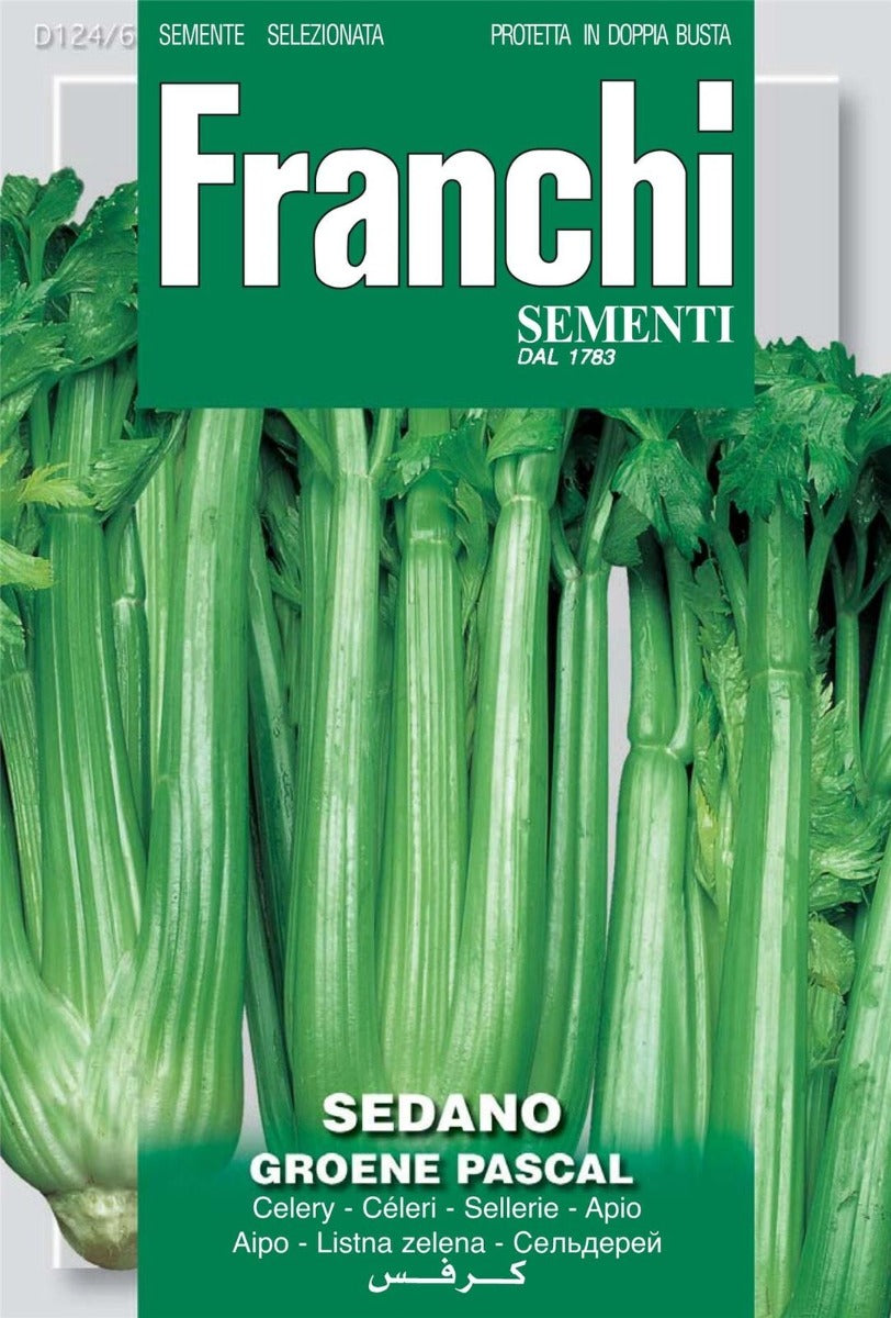 SEMI SEDANO VERDE PASCAL
