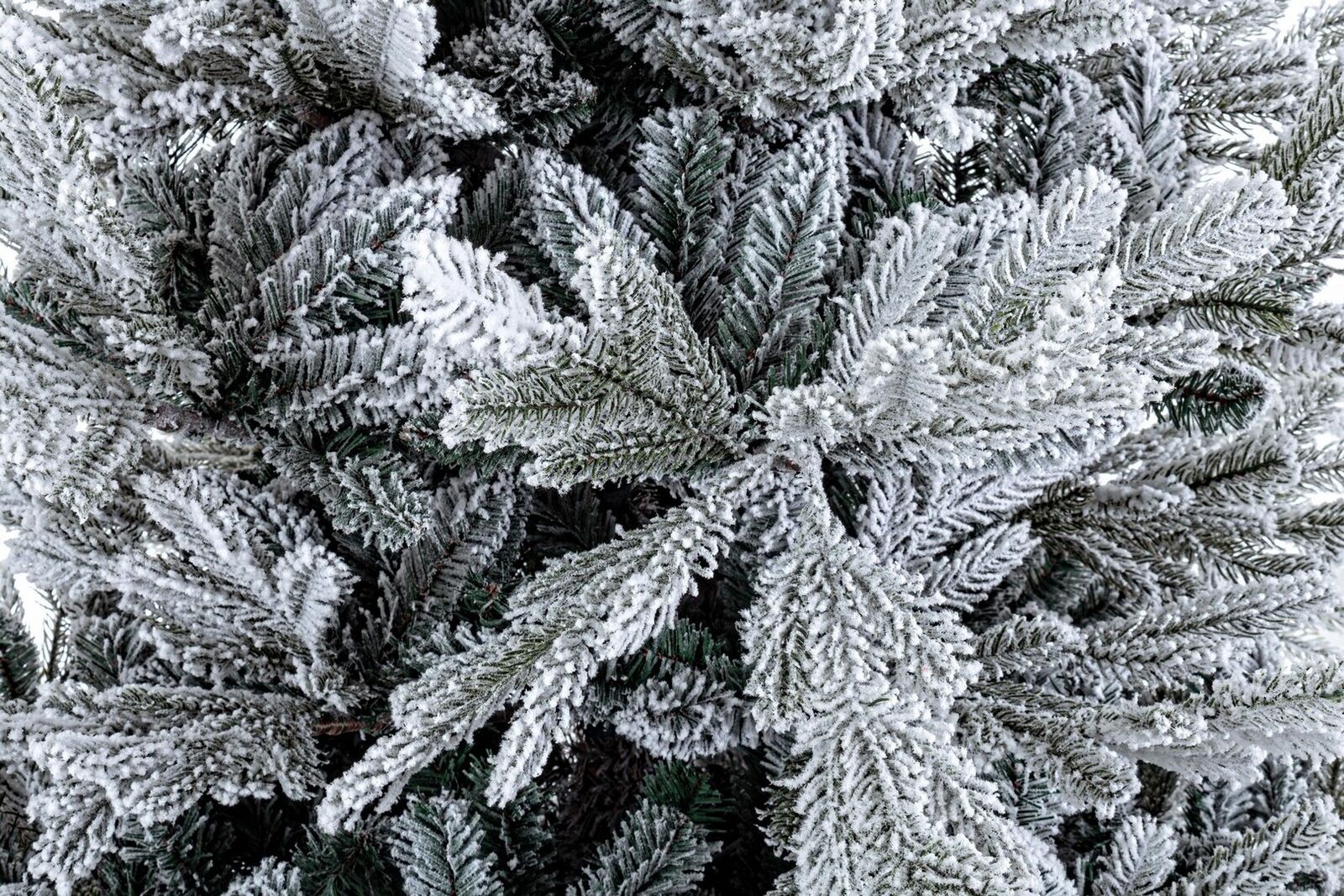 ALBERO DI NATALE INNEVATO BERNINA H270CM