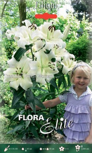 Lilium Hybrids Pretty Woman (paquet de 2 bulbes)