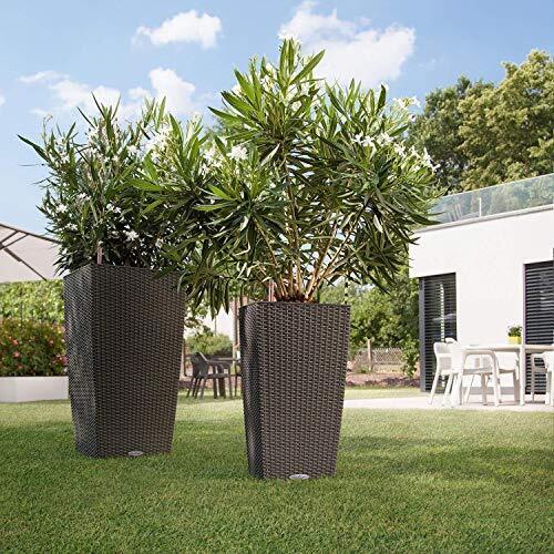 VASO CUBICO COTTAGE 30X30X56 BEIGE