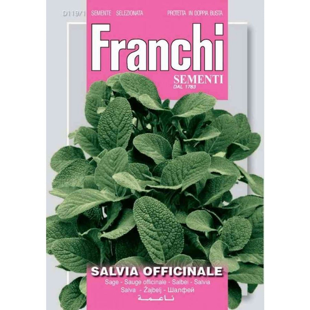 SEMI DI SALVIA OFFICINALE