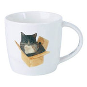 TAZZA MUG FELINE FRIENDS CAT IN A BOX 400ML