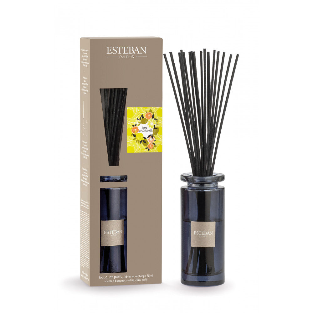 DIFFUSORE A BASTONCINO BOUQUET 150ML TERRE D'AGRUMES