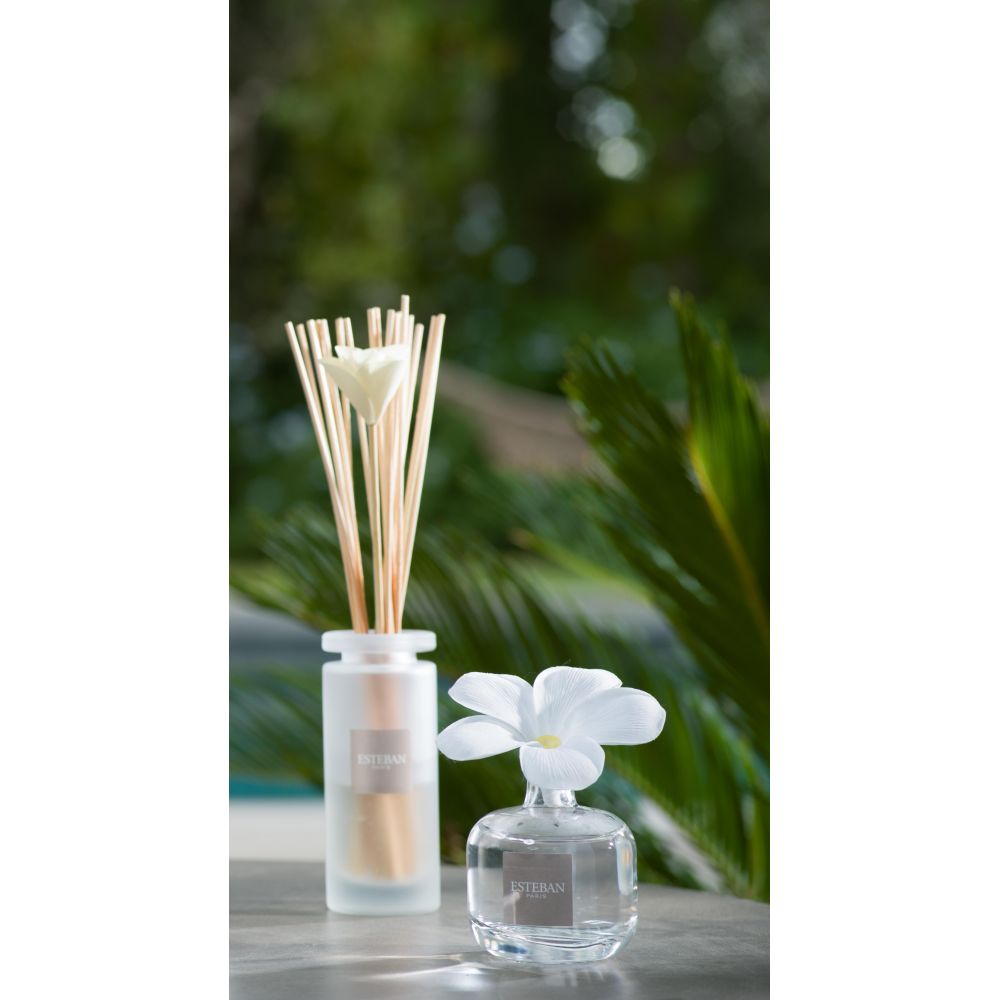 RICARICA 300ML DIFFUSORE FIORE PROFUMATO ALOE&COCO