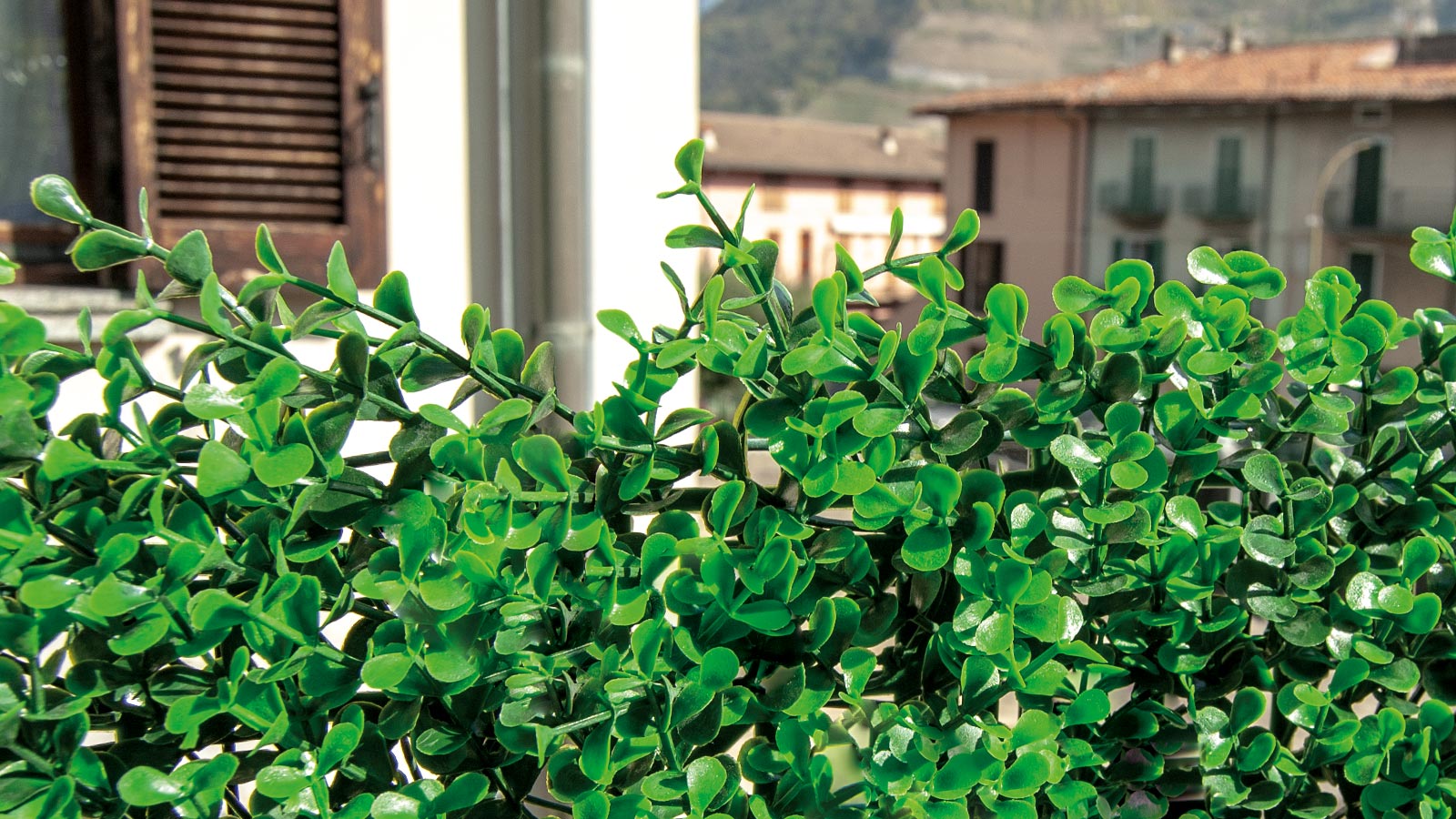 SIEPE SINTETICA DIVY 3D PANEL BUXUS INTENSE 0.5X1 M