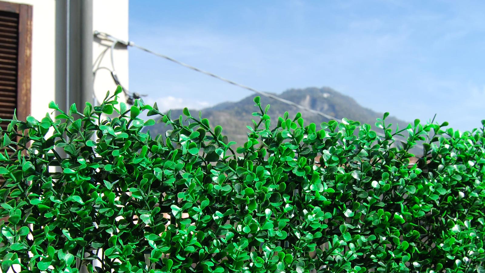 SIEPE SINTETICA DIVY 3D PANEL BUXUS INTENSE 0.5X1 M