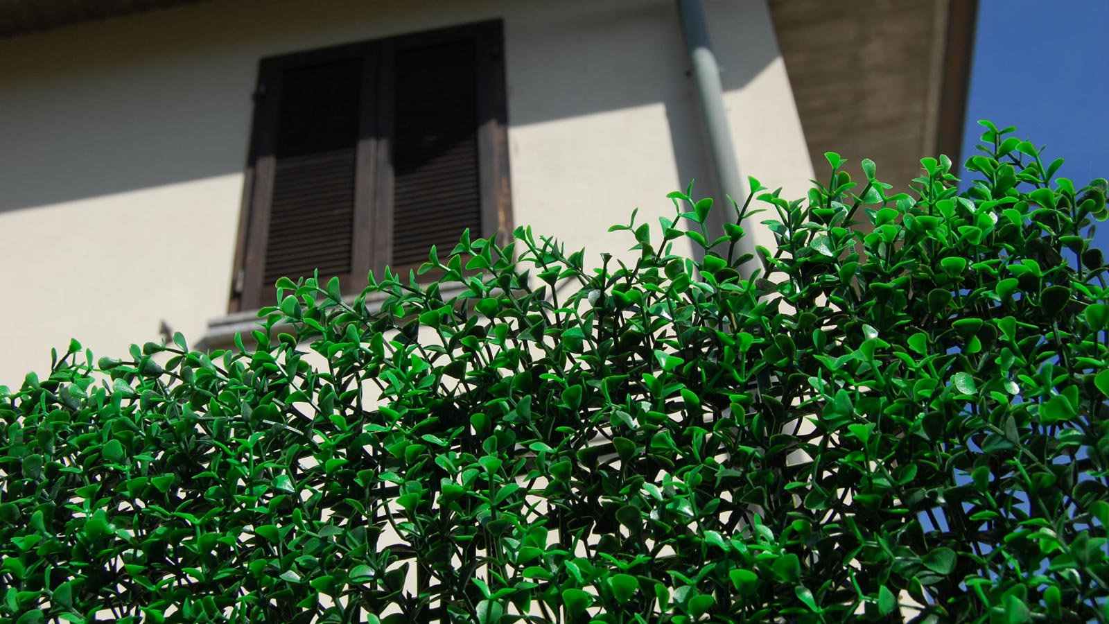 SIEPE SINTETICA DIVY 3D PANEL BUXUS INTENSE 0.5X1 M