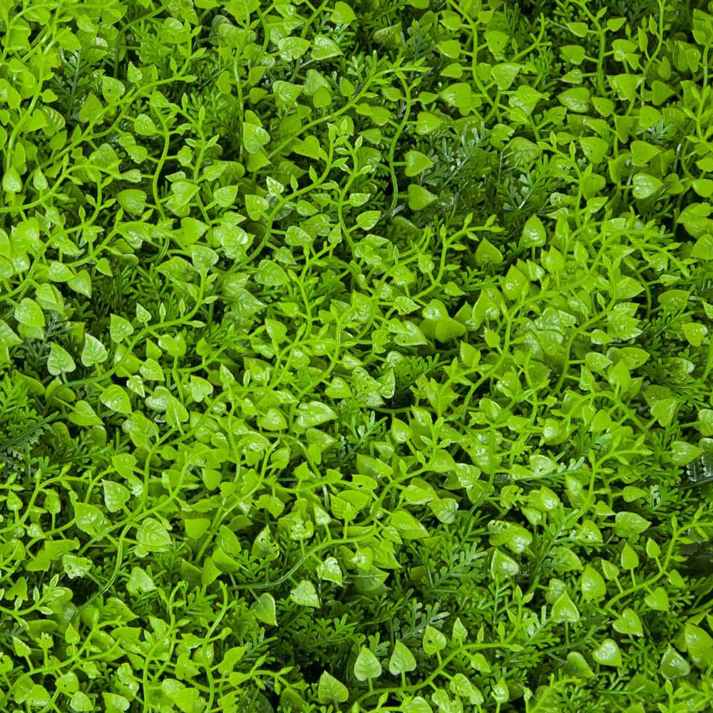 SIEPE SINTETICA DIVY 3D PANEL FERN 0.5X1 M