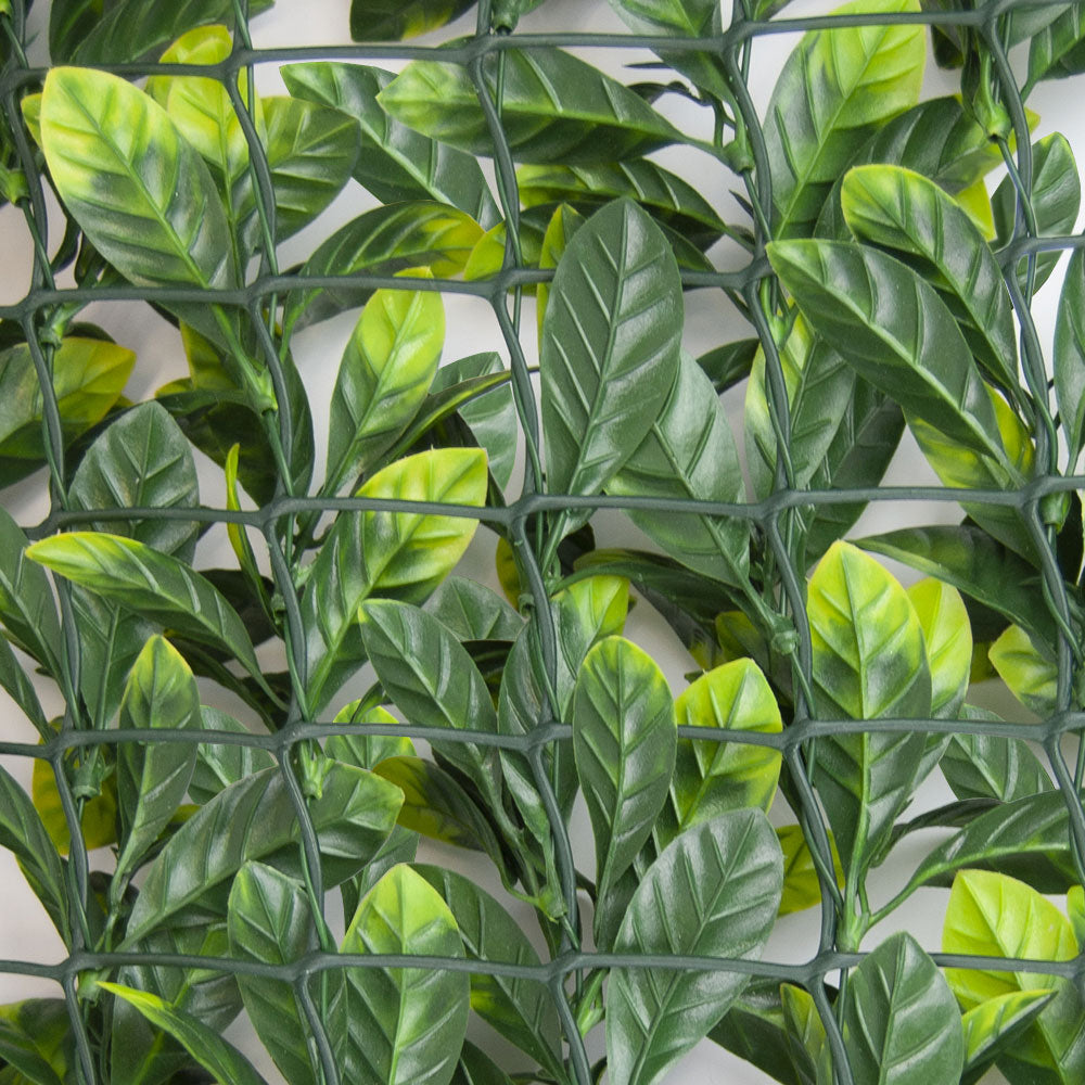 SIEPE SINTETICA SU RETE DI PLASTICA DIVY 3D PLUS LAURUS 1X3 M